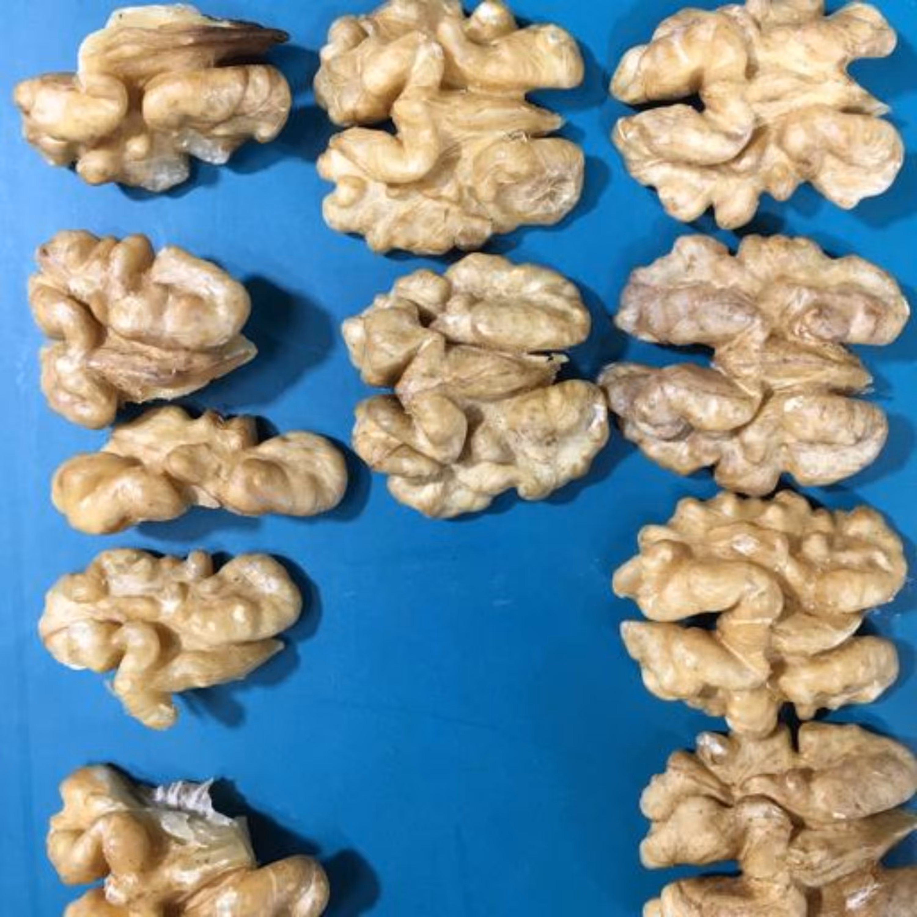 مغز گردو نوبر  3000گرم  مرند آذربایجان اختصاصی  