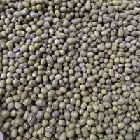 ماش سبز  دستچین  خوشپخت به شرط پزا ( تمیز و پاک شده)