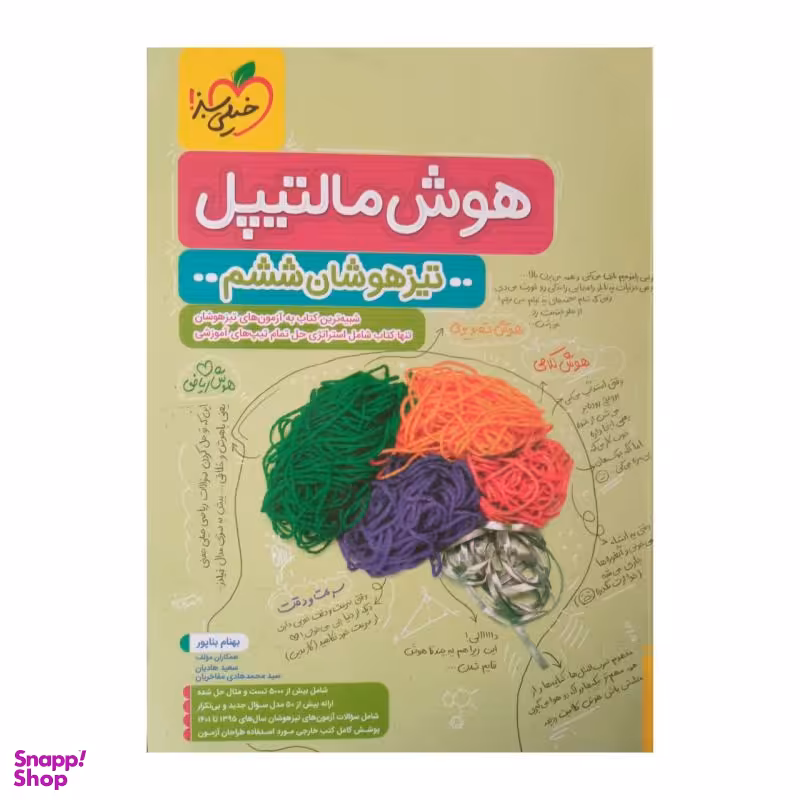 کتاب تیزهوشان ششم هوش مالتیپل شامل تست و سوال اثر جمعی ازنویسندگان انتشارات خیلی سبز