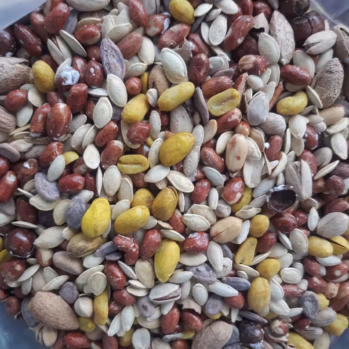 آجیل شور یک کیلوی 