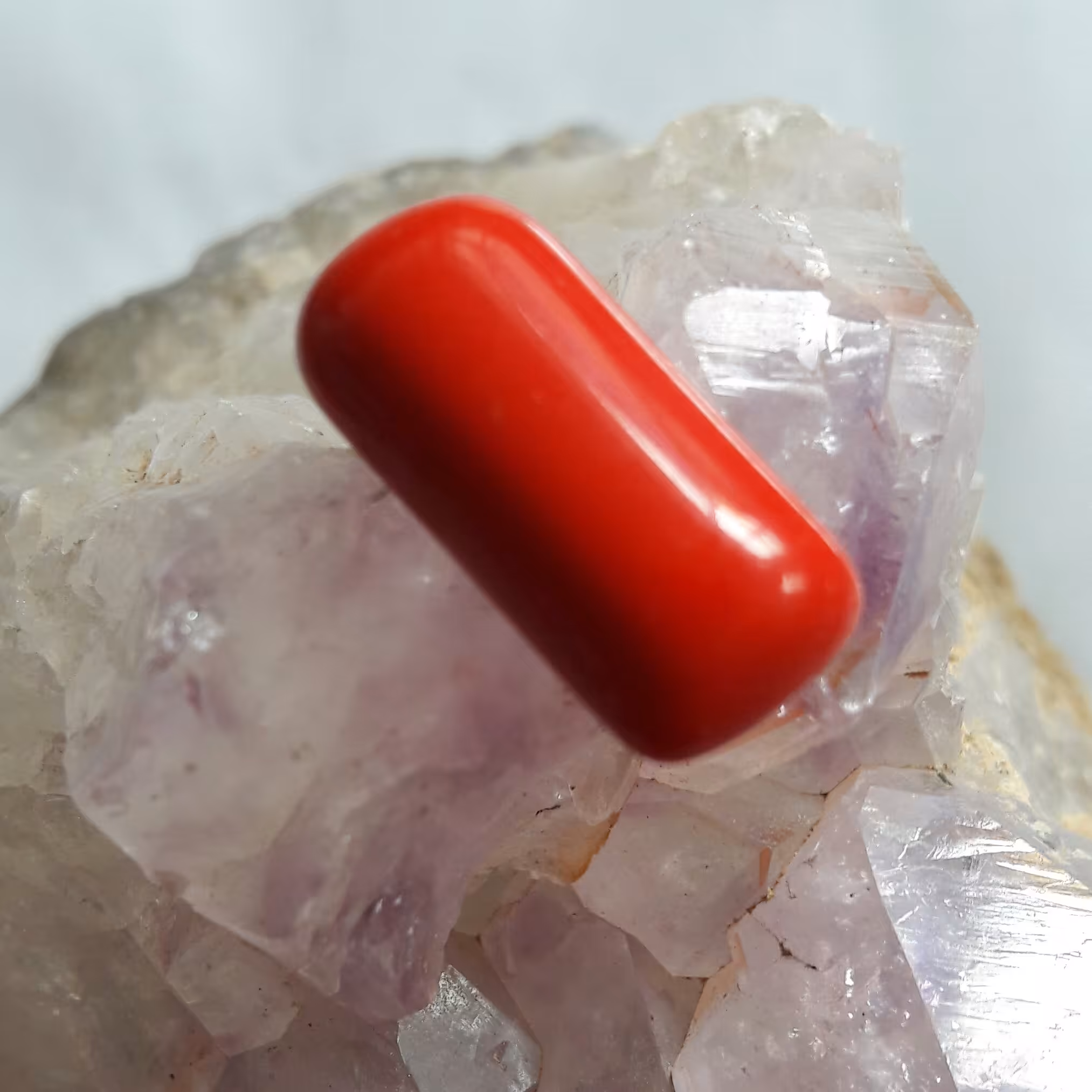 نگین مرجان بحری طبیعی 