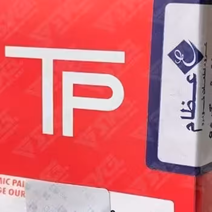 رینگ موتور TP پیستون نیسان 050 Z24 عظام 