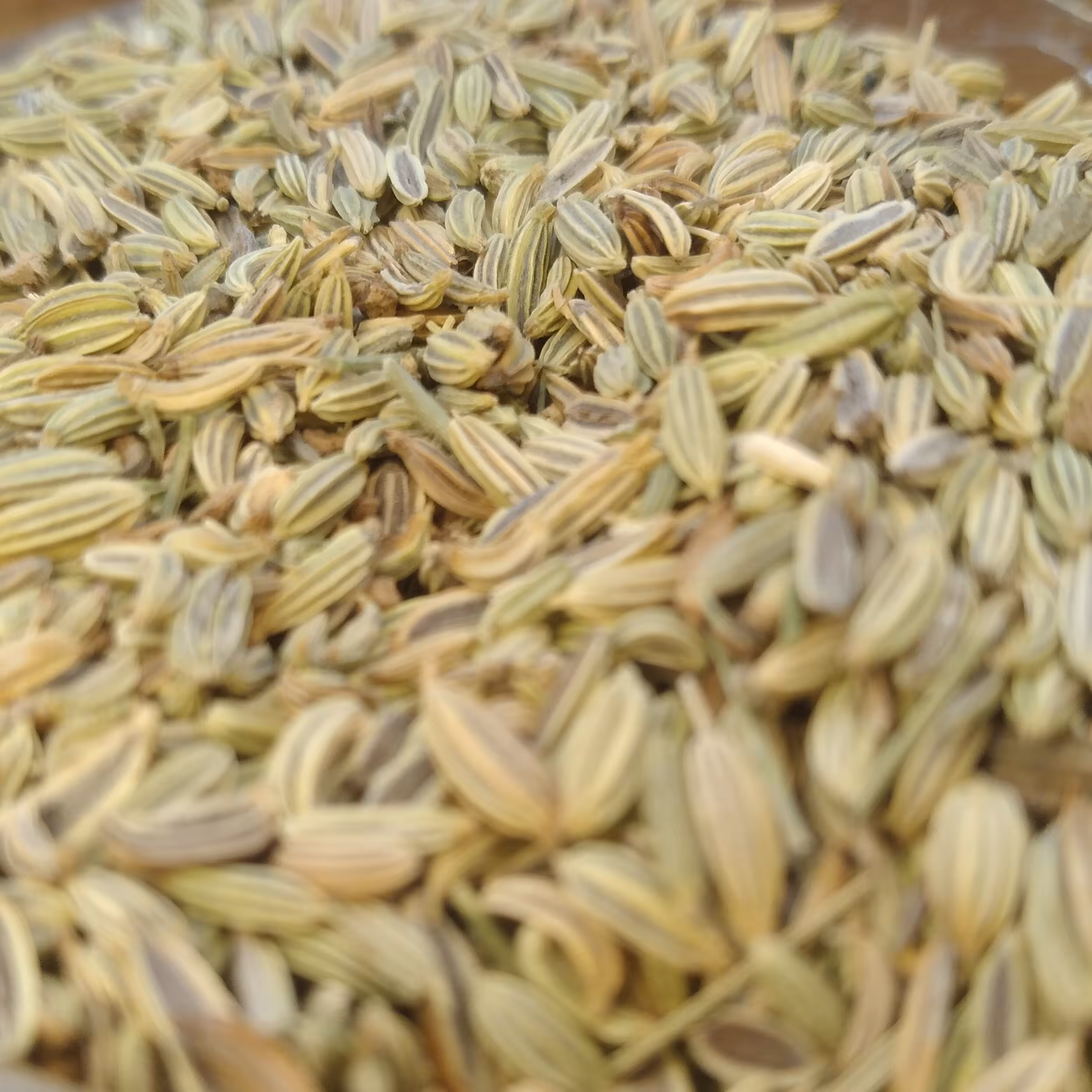 زیره سبز ایرانی صادراتی100 گرم