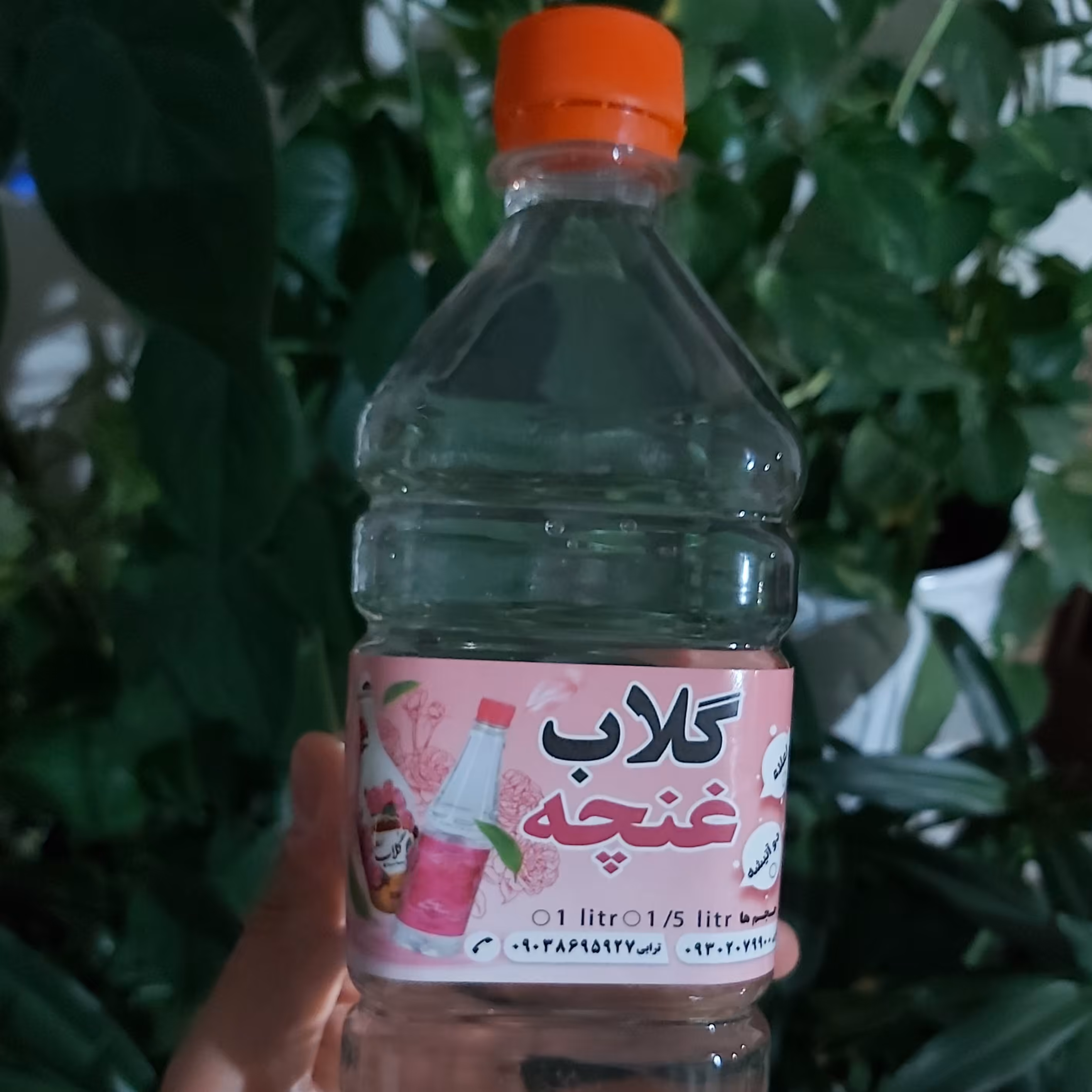 گلاب دو آتیشه
