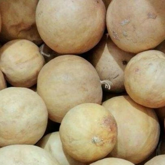 هندوانه ابوجهل بسته 100 گرمی
