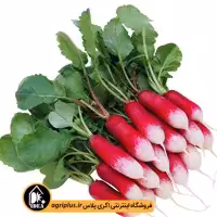بذر تربچه کشیده پاسارگاد