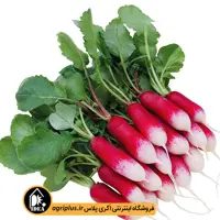 بذر تربچه کشیده پاسارگاد