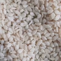 کنجد سفید، پوست کنده شده، شسته شده، کمی تفت داده شده 