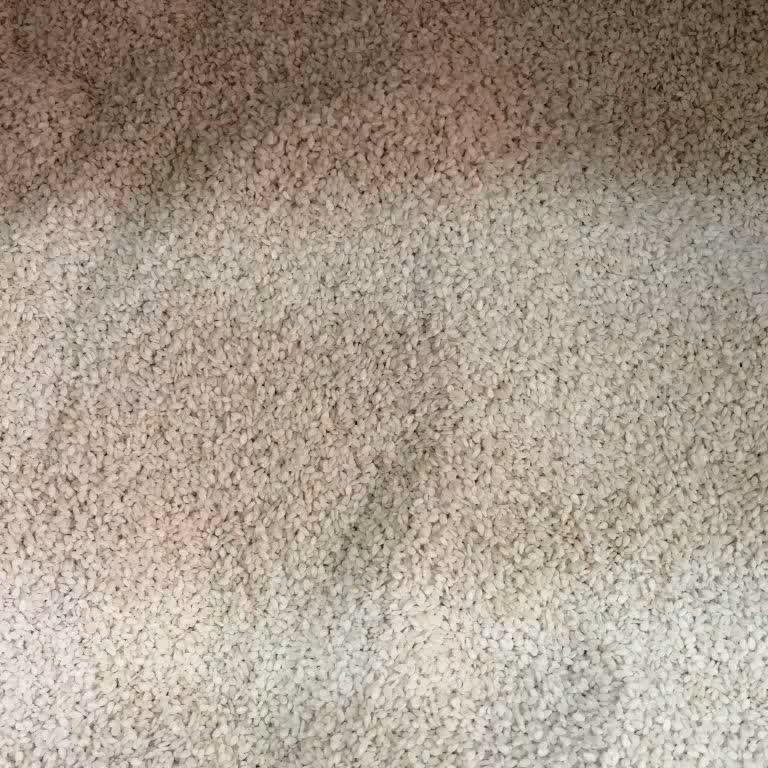 کنجد پوست کنده ( سفید ) ایرانی