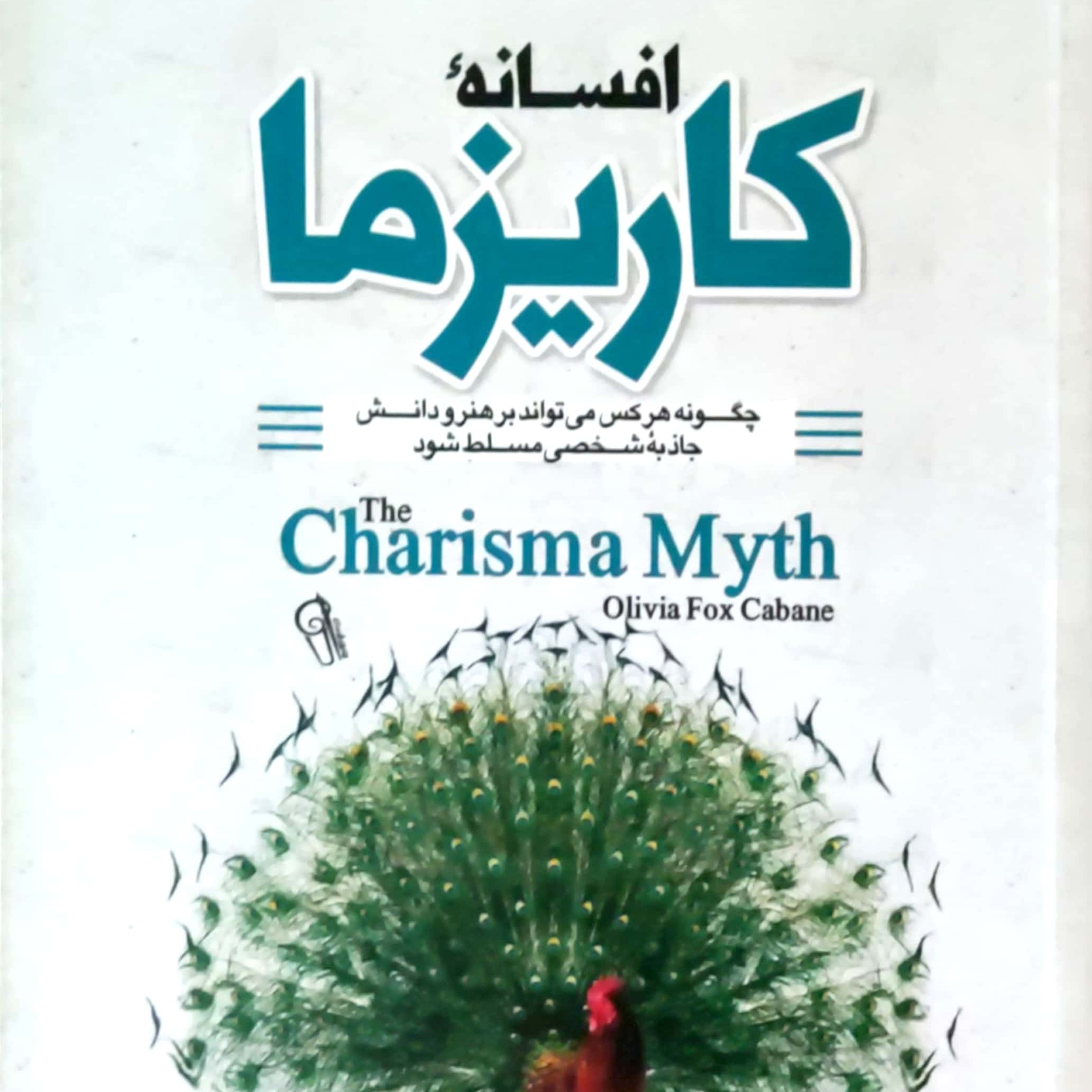 کتاب افسانه کاریزما