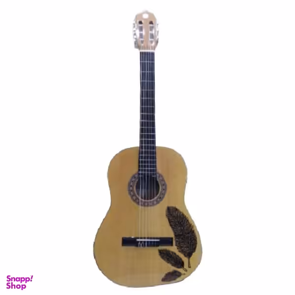 گیتار مدل متین