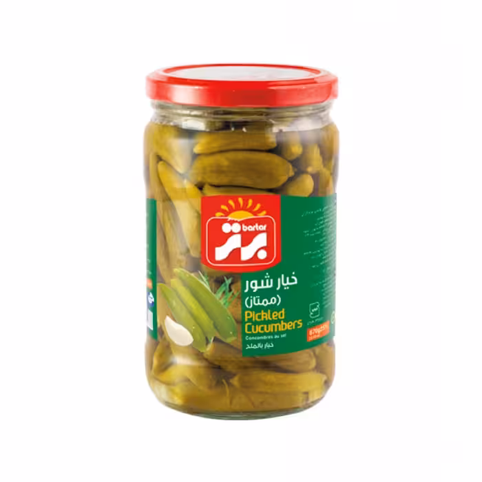 خیار شور ممتاز 670 گرم برتر