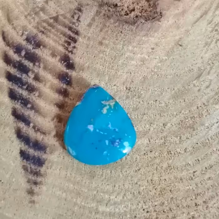 احی فیروزه طبیعی نشابوری اصل