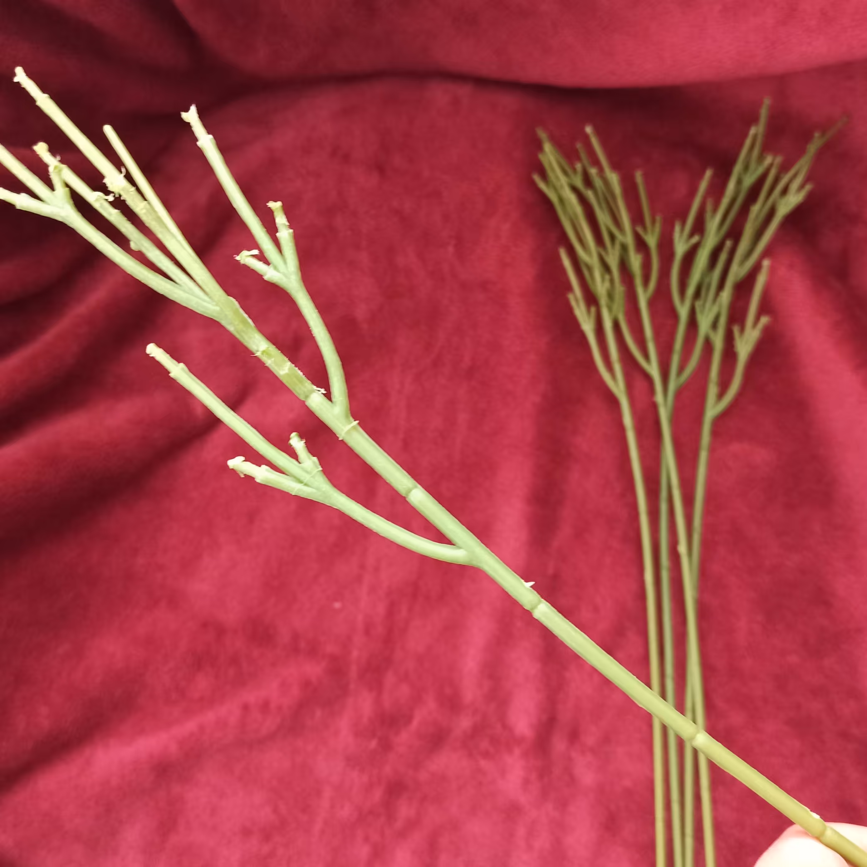 ساقه بوته مصنوعی 50 سانتی 