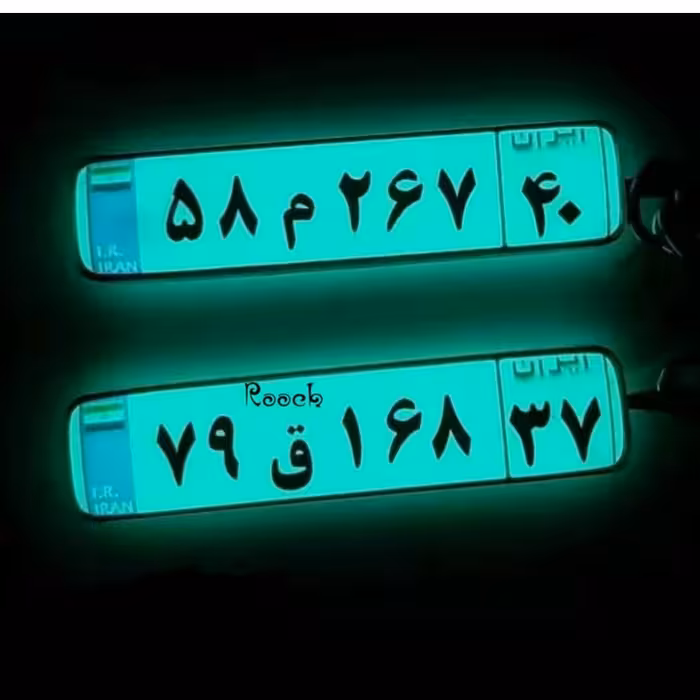 جاکلیدی وجاسوییچی شبتاب رزینی باپلاک خودتون