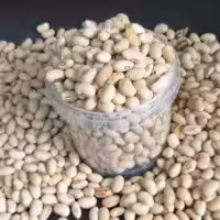 سویا (لوبیای محلی) 1 کیلو آجیلی