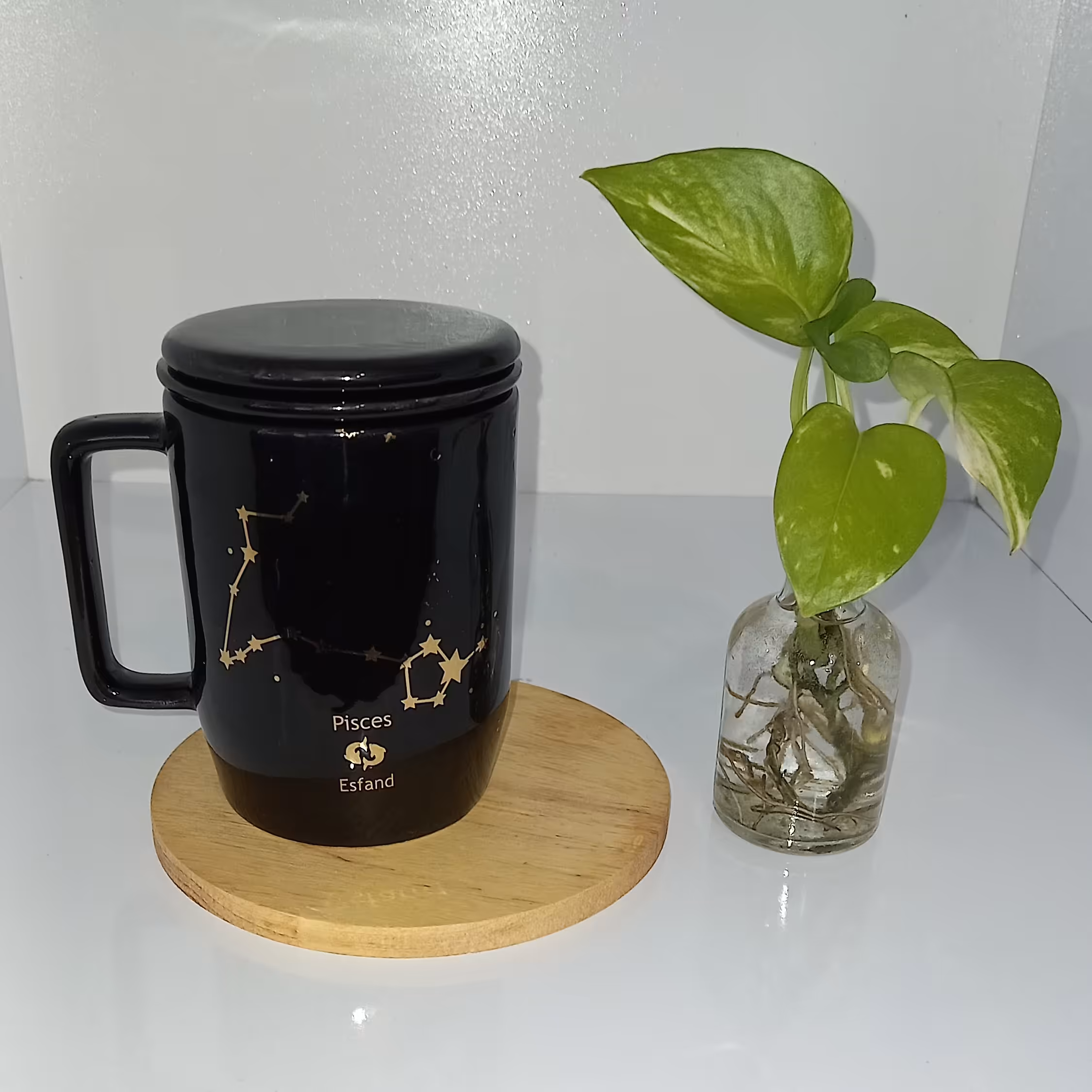 ماگ ماه تولد اسفند با صورت فلکی اسفند 3 تیکه  ماگ دمنوش ساز  لیوان ماه تولد لیوان دمنوش ساز  ماگ کادو تولد اسفند ماهی 