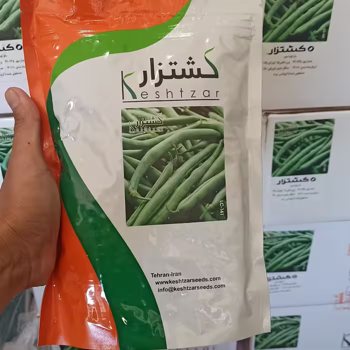 بذر لوبیا کشتزار 