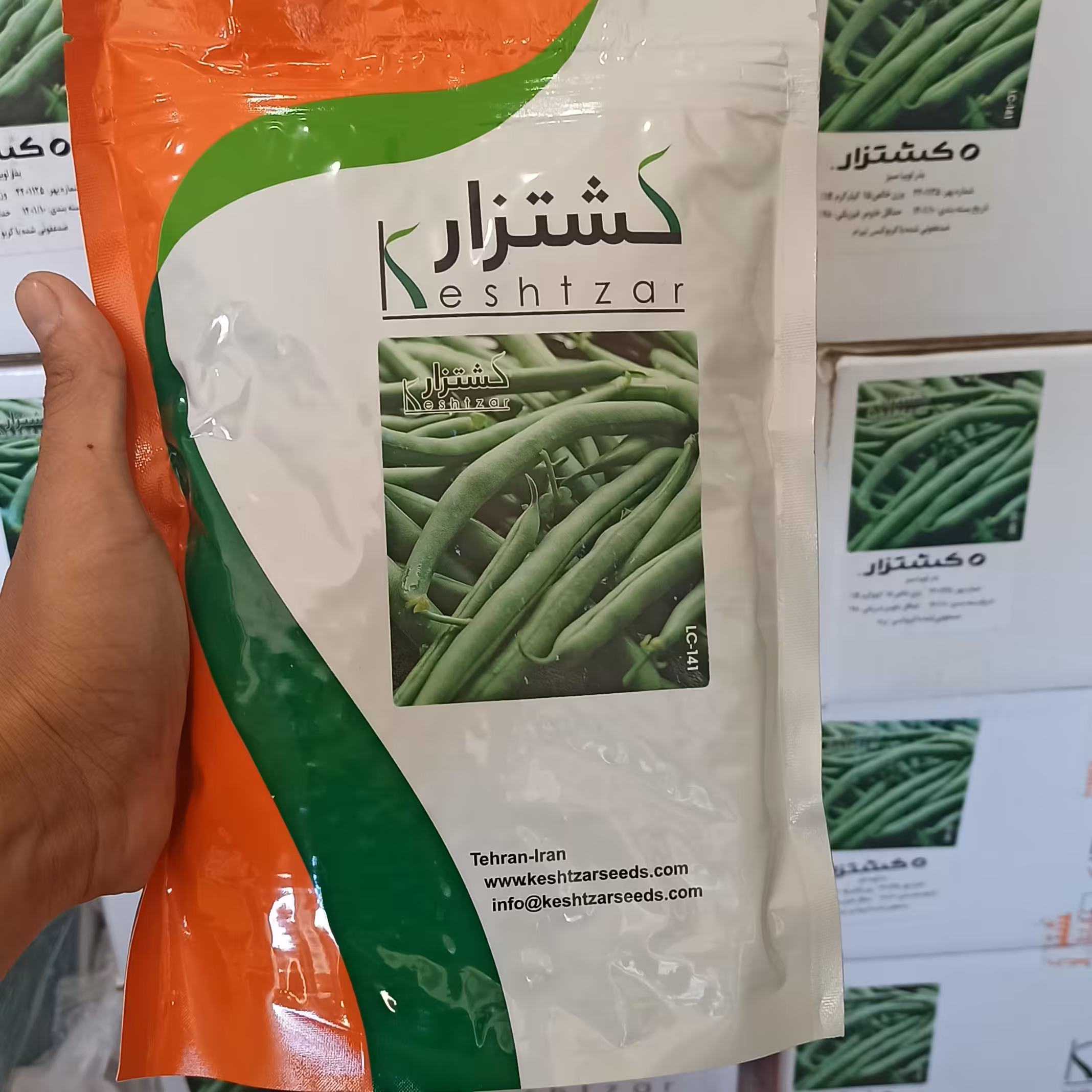 بذر لوبیا کشتزار 