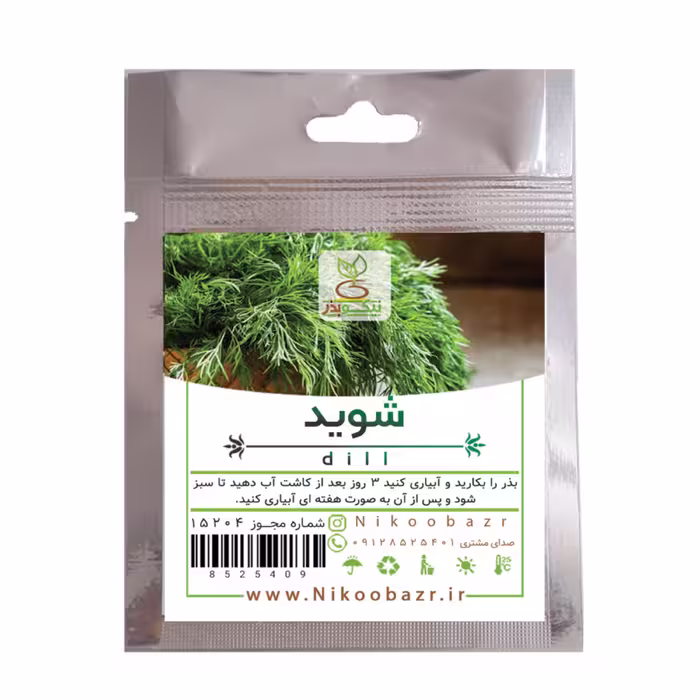 بذر شوید 