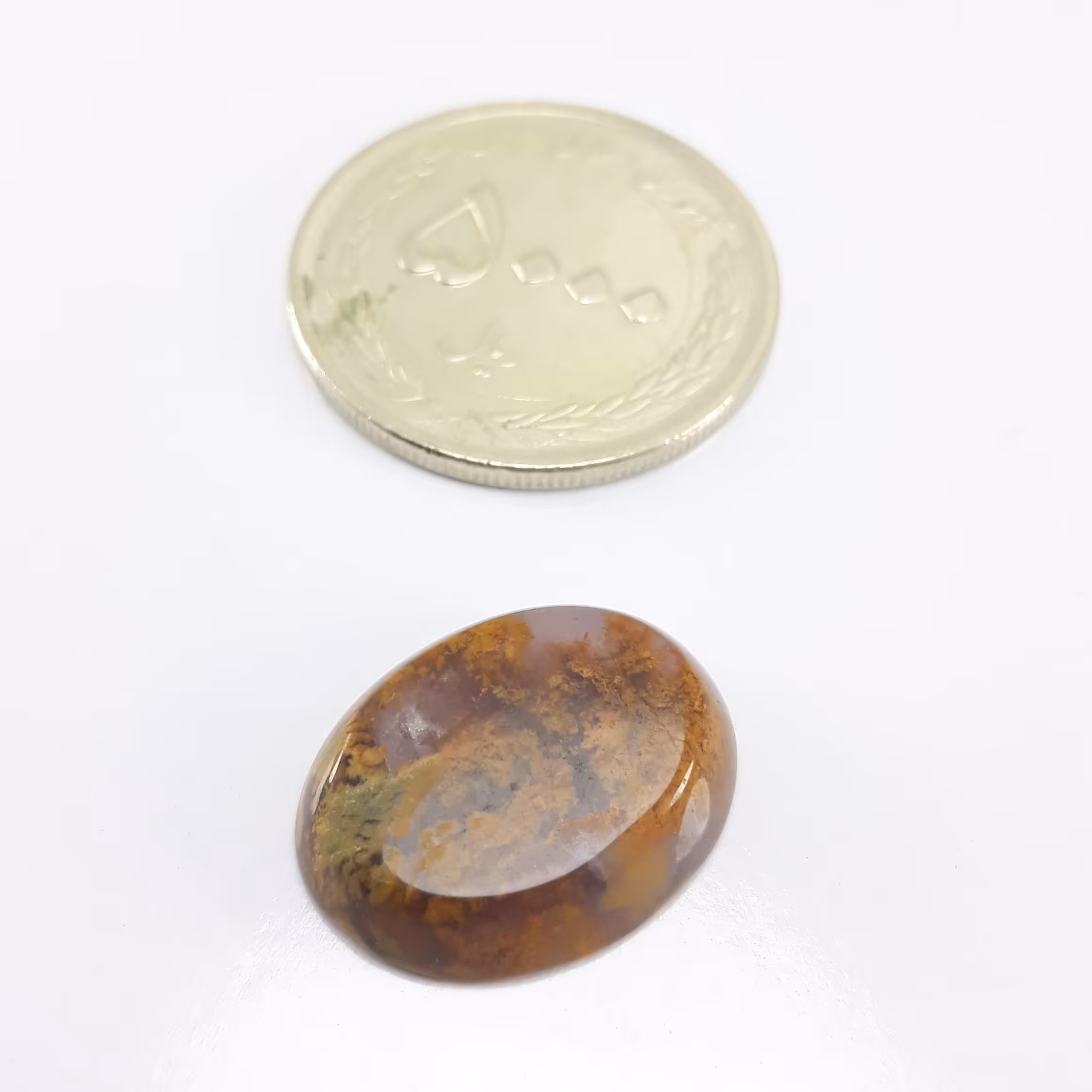 نگین شجر خزه ای معدنی به قیمت حراجی 