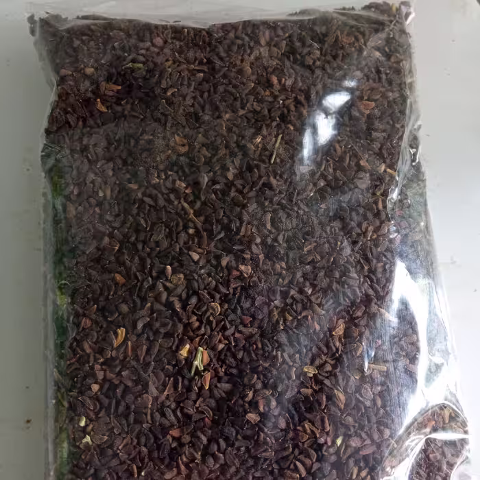 بذر اسفند 100گرمی