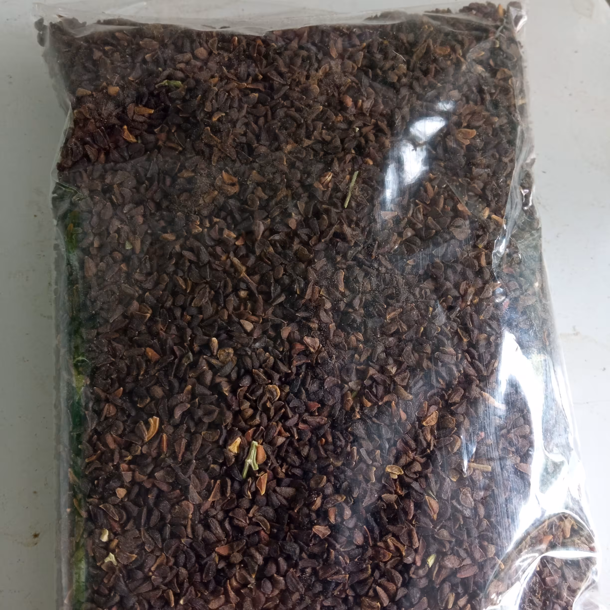بذر اسفند 100گرمی