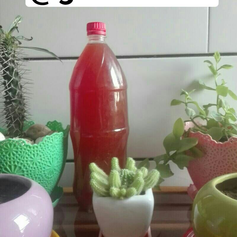 آبغوره خونگی یک ونیم لیتری 