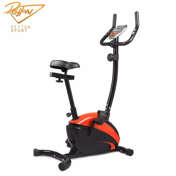 دوچرخه ثابت پاندا مدل B 352