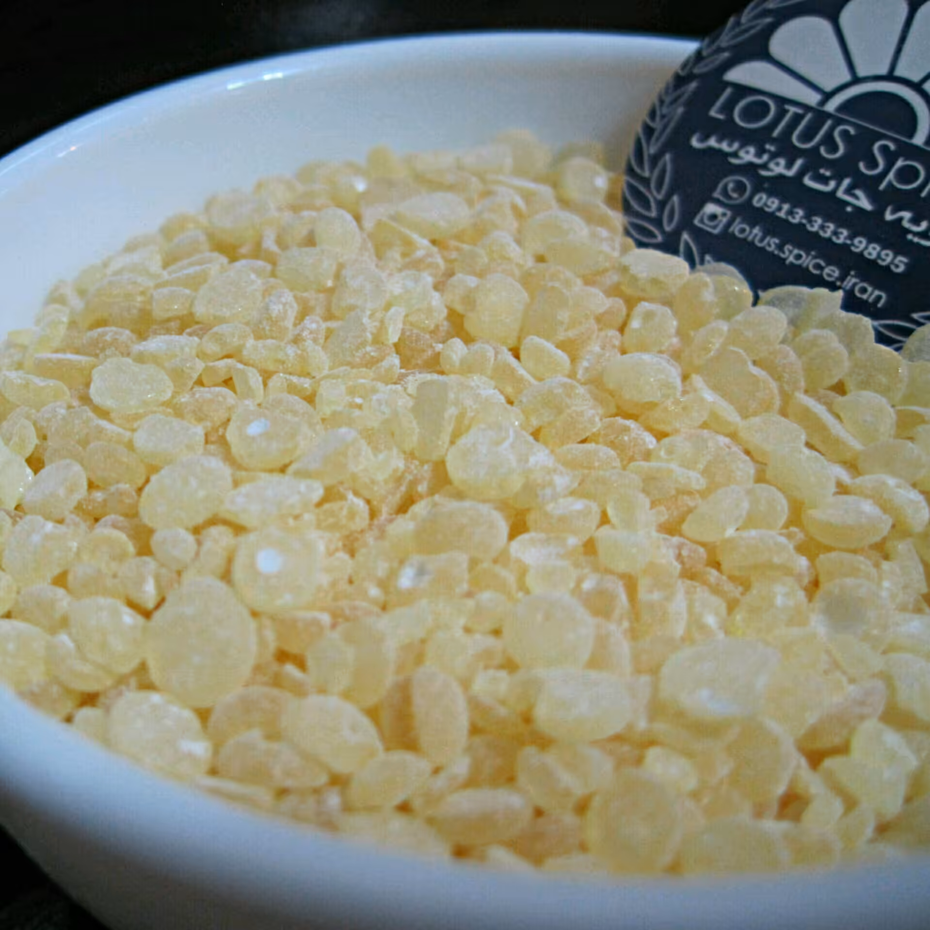 مستکی | مصطکی یا کندر رومی