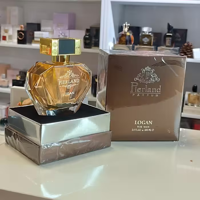 عطر ادکلن لوگان 100 میل لاکچری مشابه لجند مون بلانک مدل LOGAN

