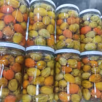 ترشی بادمجان فرانسوی