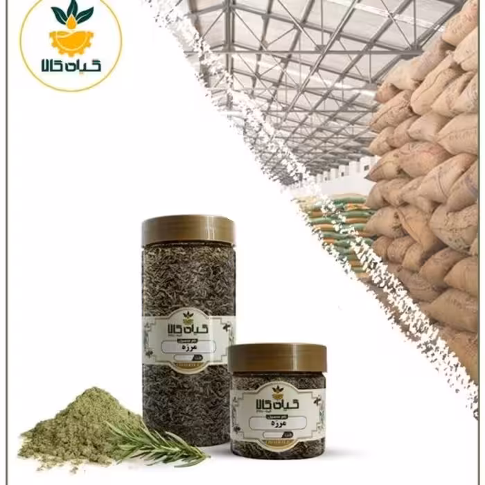 گیاه مرزه، بار امسالی و تازه(1کیلوگرم)