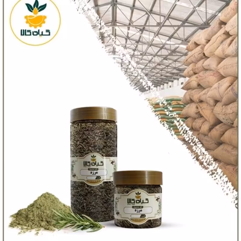 گیاه مرزه، بار امسالی و تازه(1کیلوگرم)