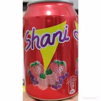 نوشابه شانی 300میل