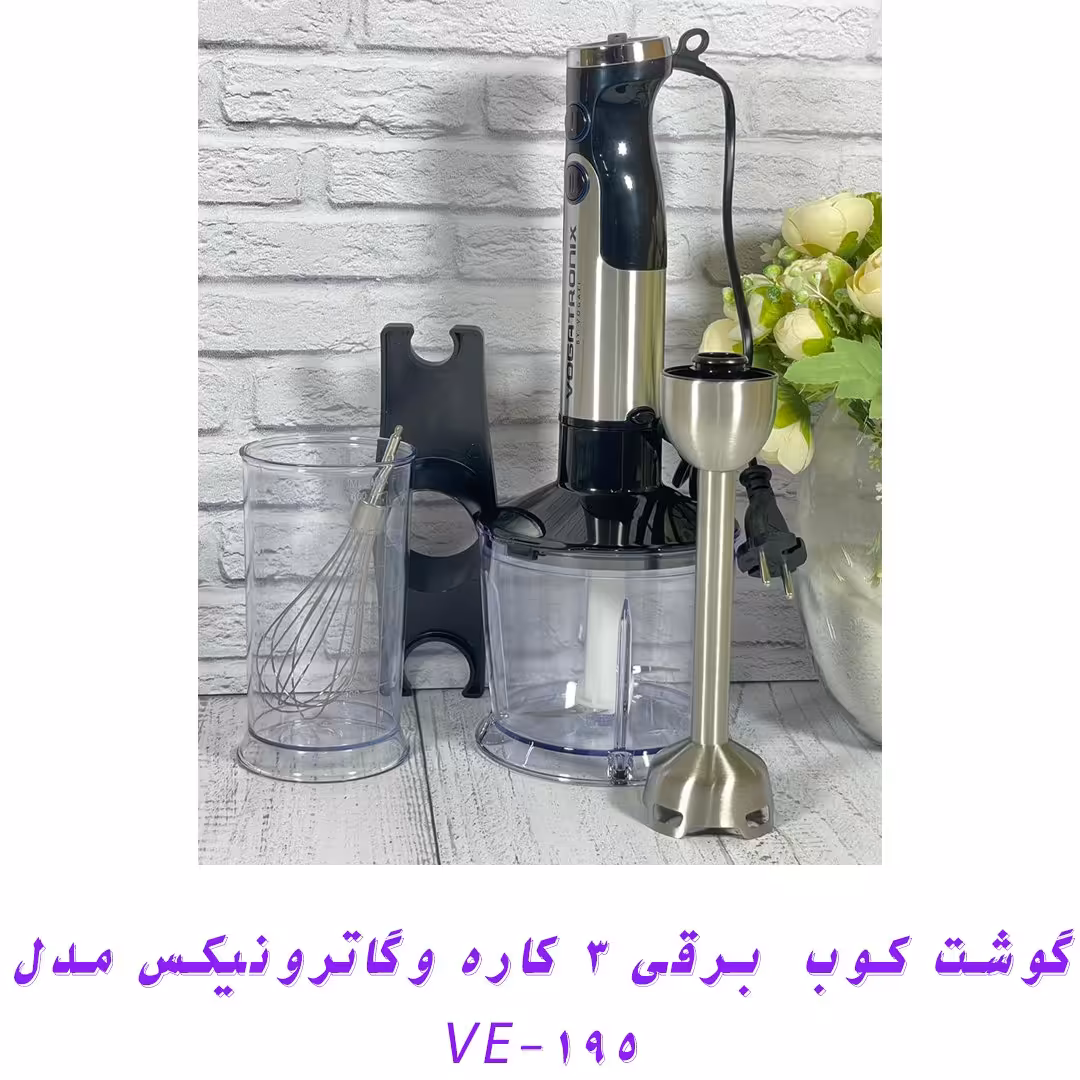 گوشت کوب  برقی 3 کاره وگاترونیکس مدل VE-195