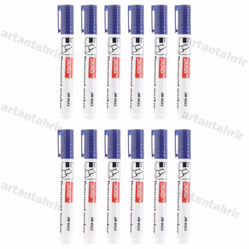 ماژیک پرمننت (تینری) ایمر بسته 12عددی