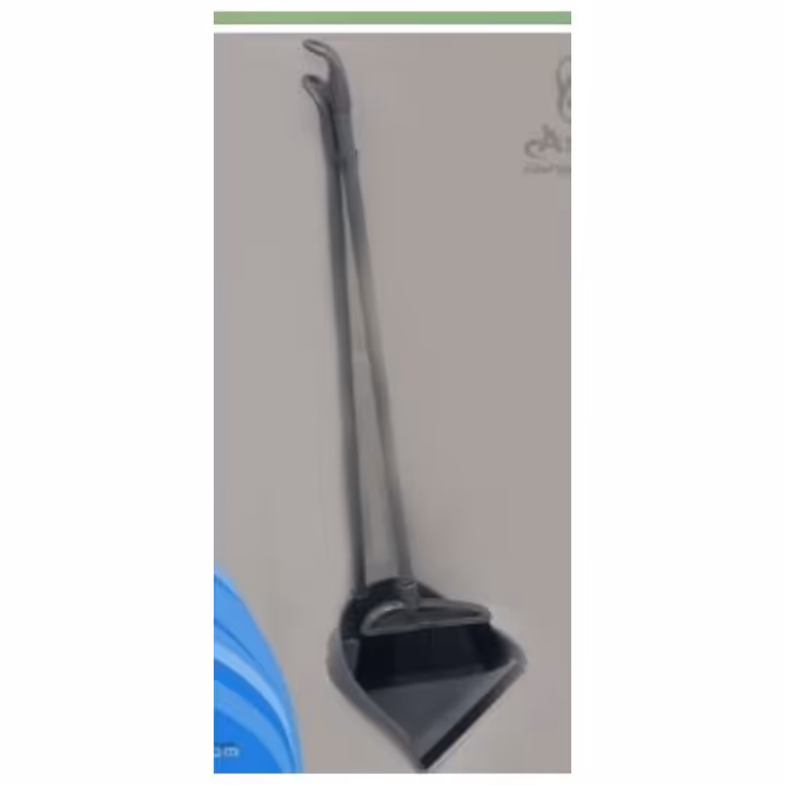 جارو خاک انداز ایستاده فام