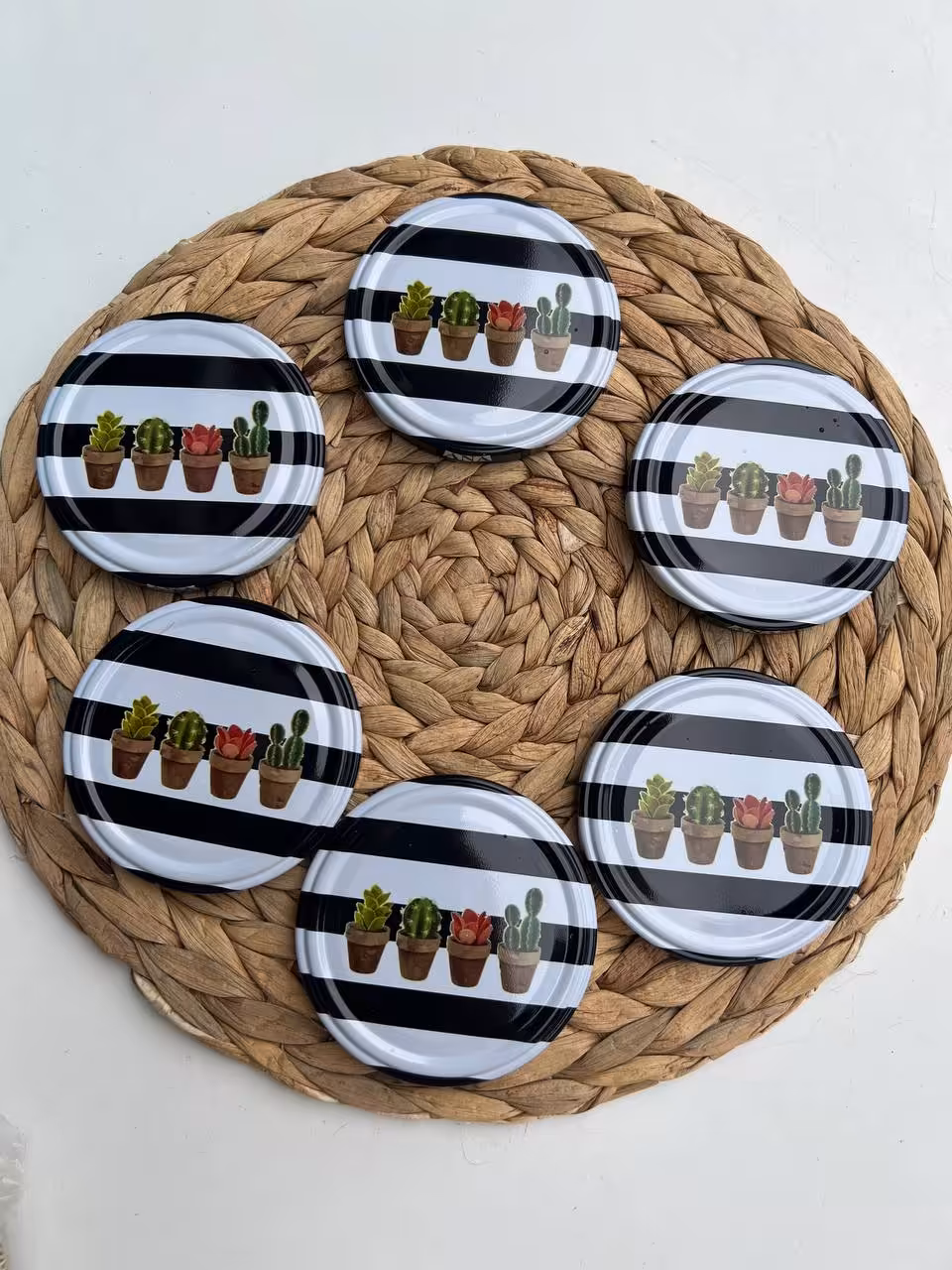 درب بانکه فلزی طرح کاکتوس کد 5