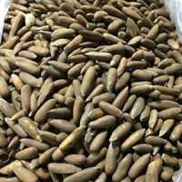 دانه درشت چلغوز (بدون نمک) 400گرم