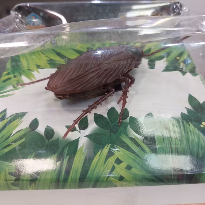 سوسک باتری خور  حرکتی