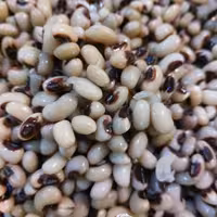 لوبیا چشم بلبلی نیم پز (بسته 450 گرمی)