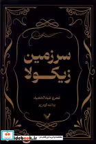 قیمت و خرید کتاب سرزمین زیکولا اثر عمرو عبدالحمید | ایده بوک