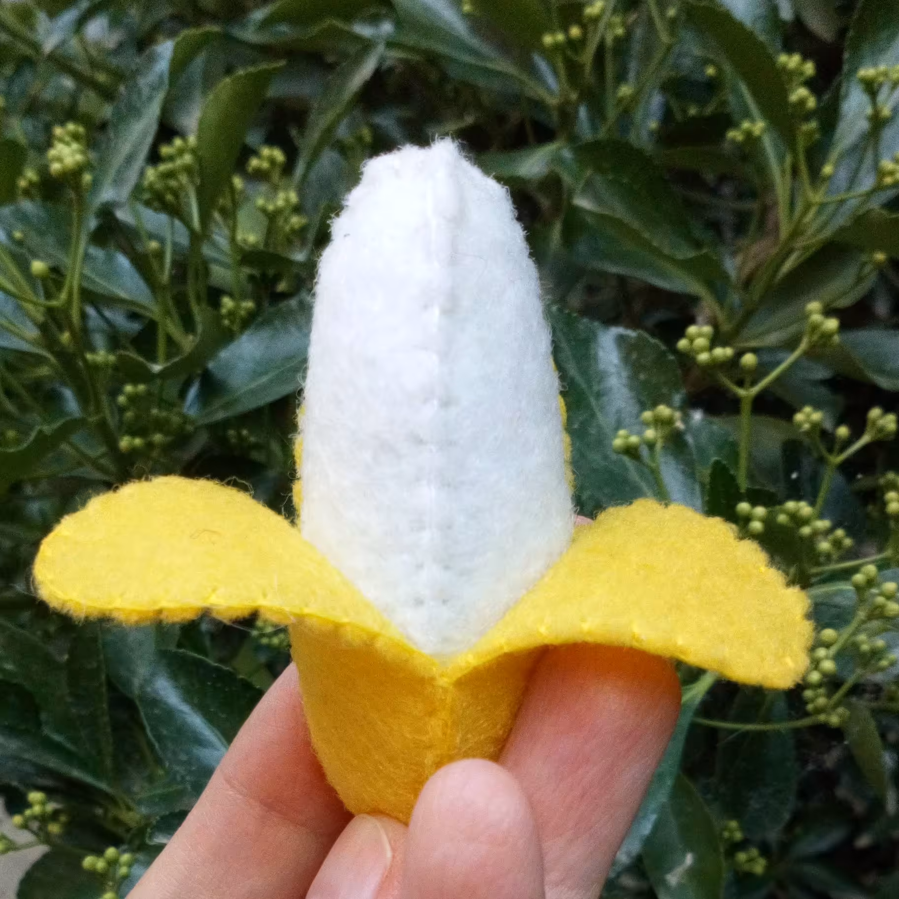 مگنت موز نمدی