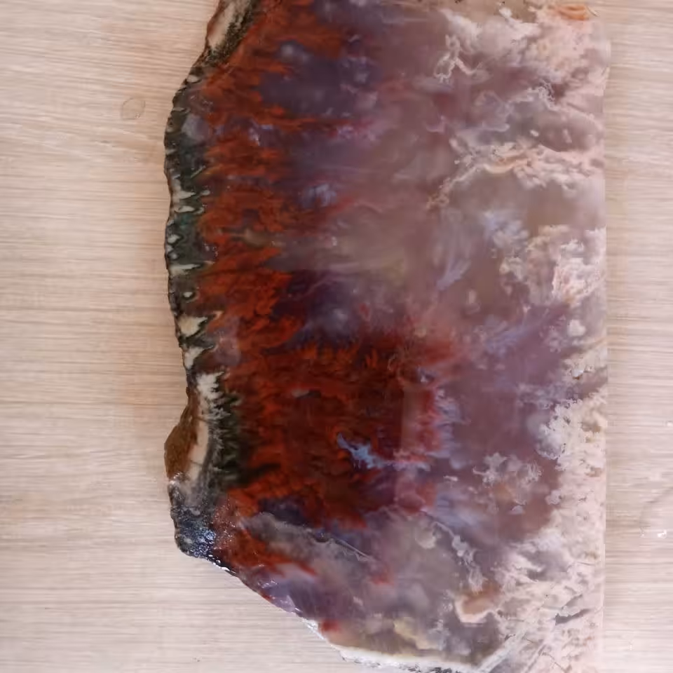 اسلایس شجر قرمز