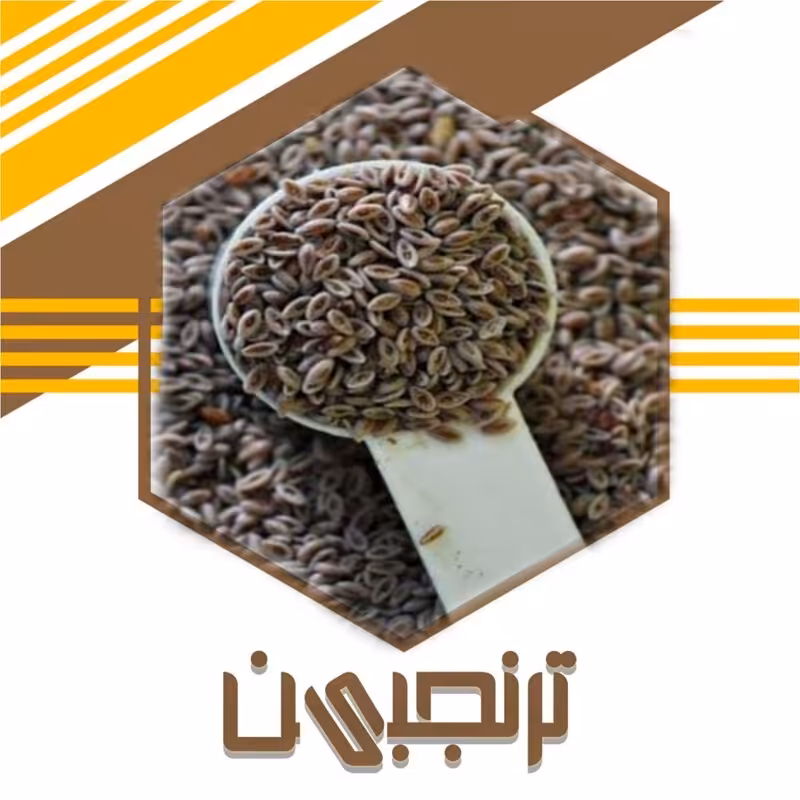 تخم بارهنگ ( 100گرم)ترنجبین