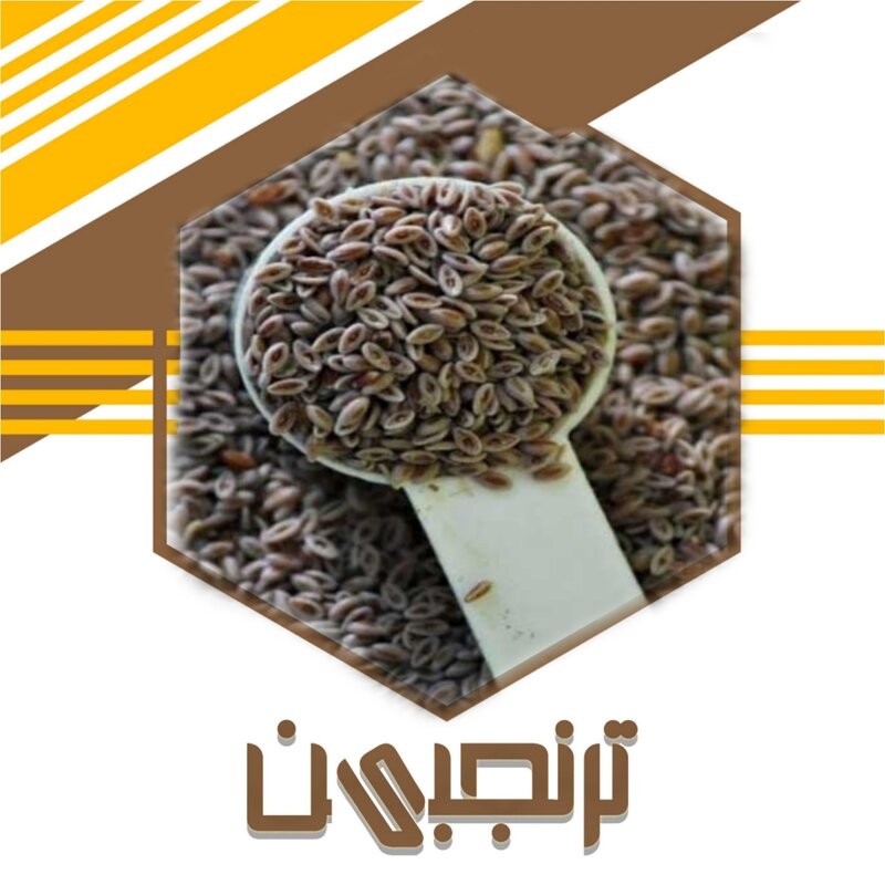 تخم بارهنگ ( 100گرم)ترنجبین