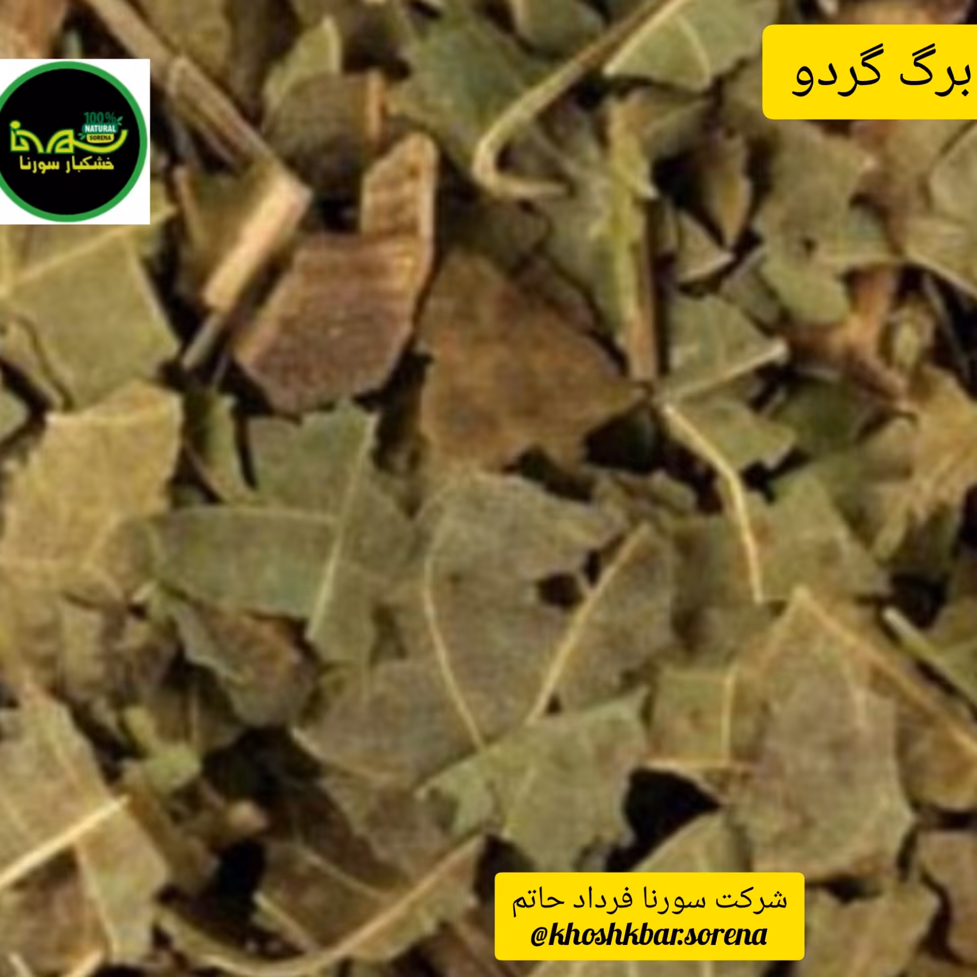 برگ گردو  درجه یک(مازندران،قائمشهر) در بسته بندی 25  گرمی