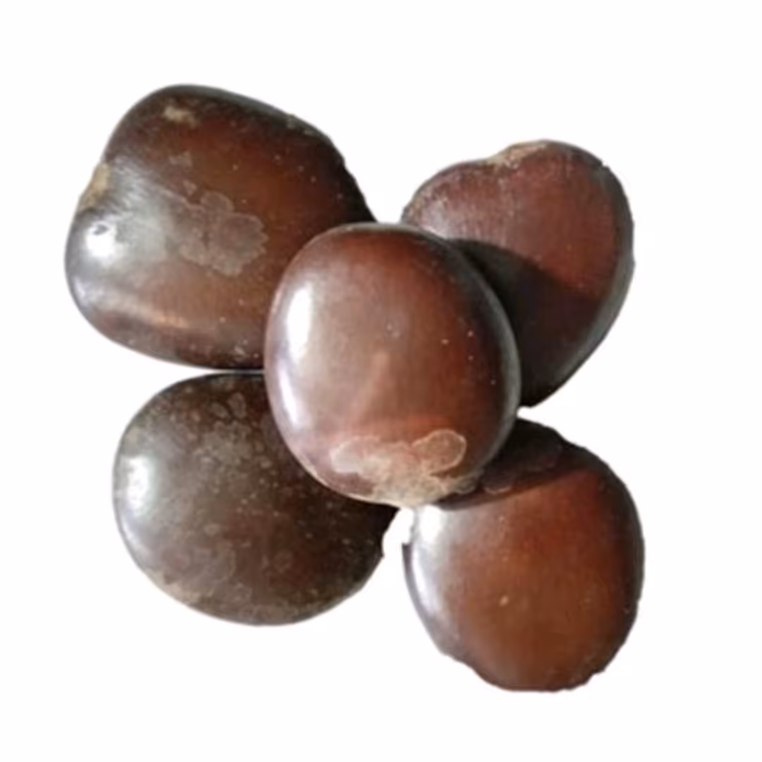 ترکیب گیاهی کمر ممتاز 