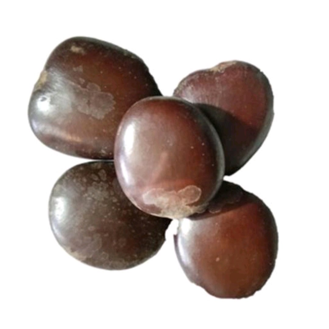 ترکیب گیاهی کمر ممتاز